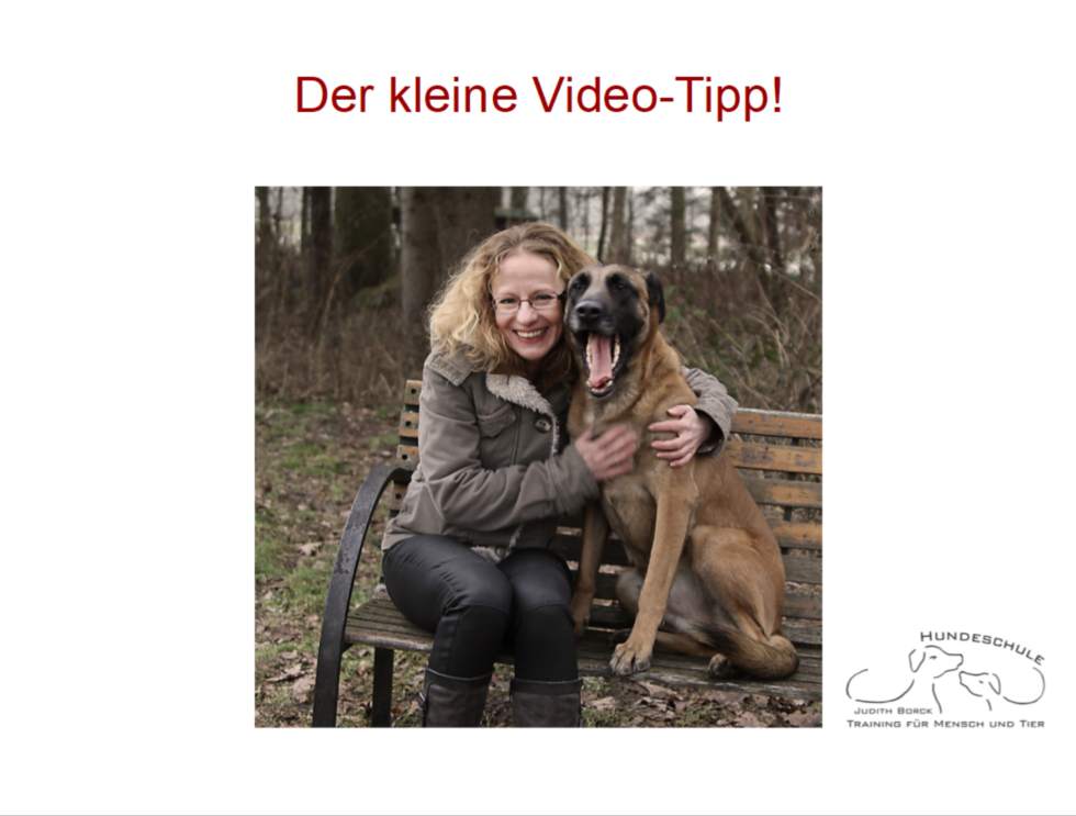 Blog Hundeschule Bremen